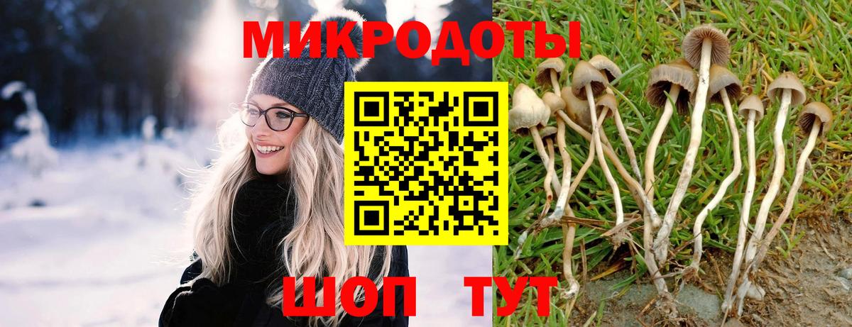 Псилоцибиновые грибы Psilocybe  Вход с VPN  Нефтеюганск 